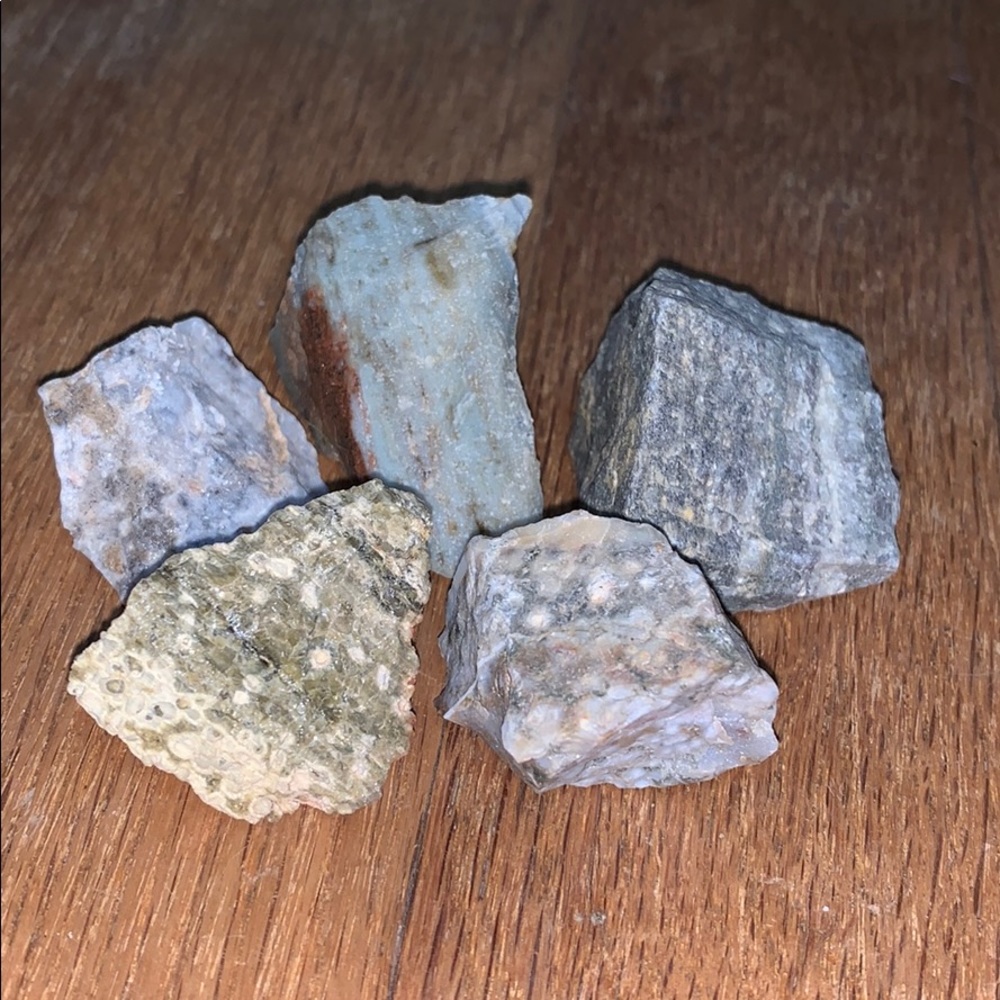 Pieces of Ocean Jasper